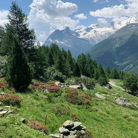 Apartman Wiedersehen Saas-Grund